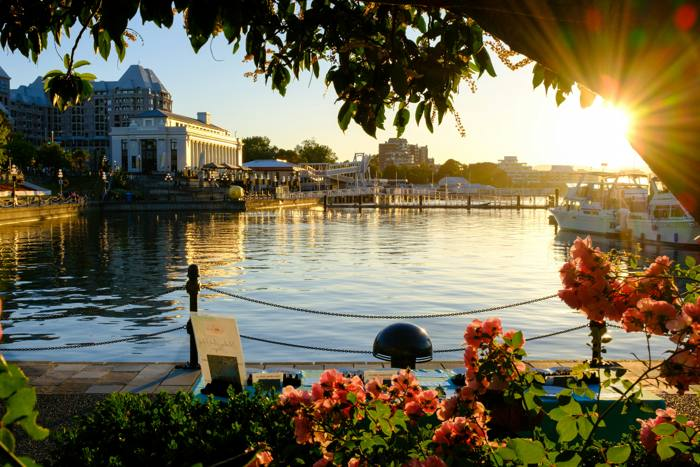 Victoria harbour waterfront